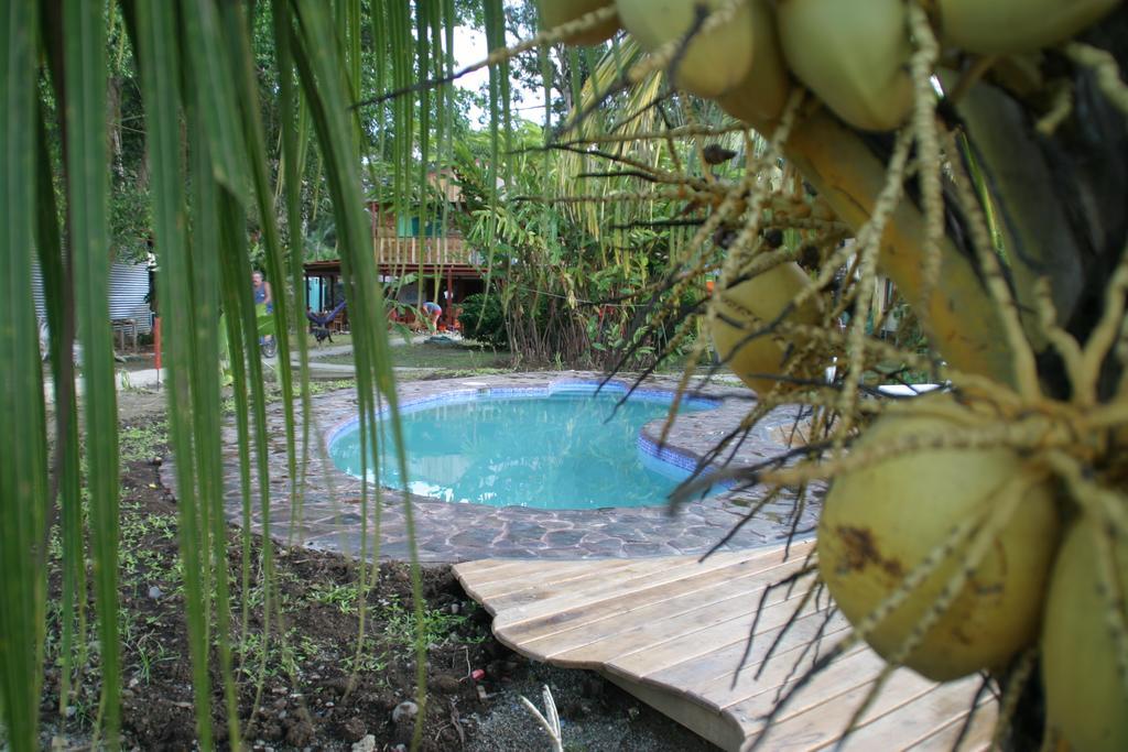 Hakuna Matata Hostel Cahuita Exterior photo