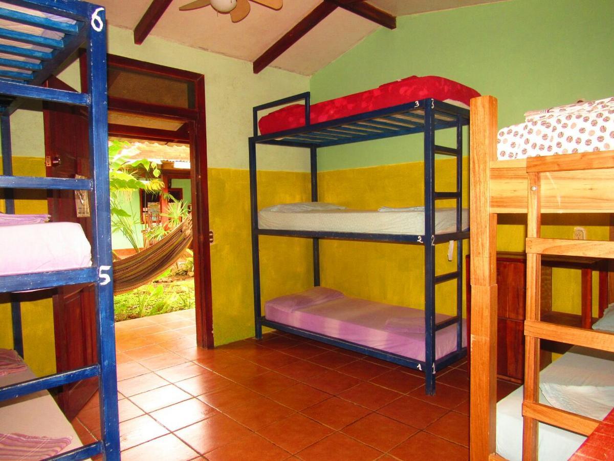Hakuna Matata Hostel Cahuita Exterior photo