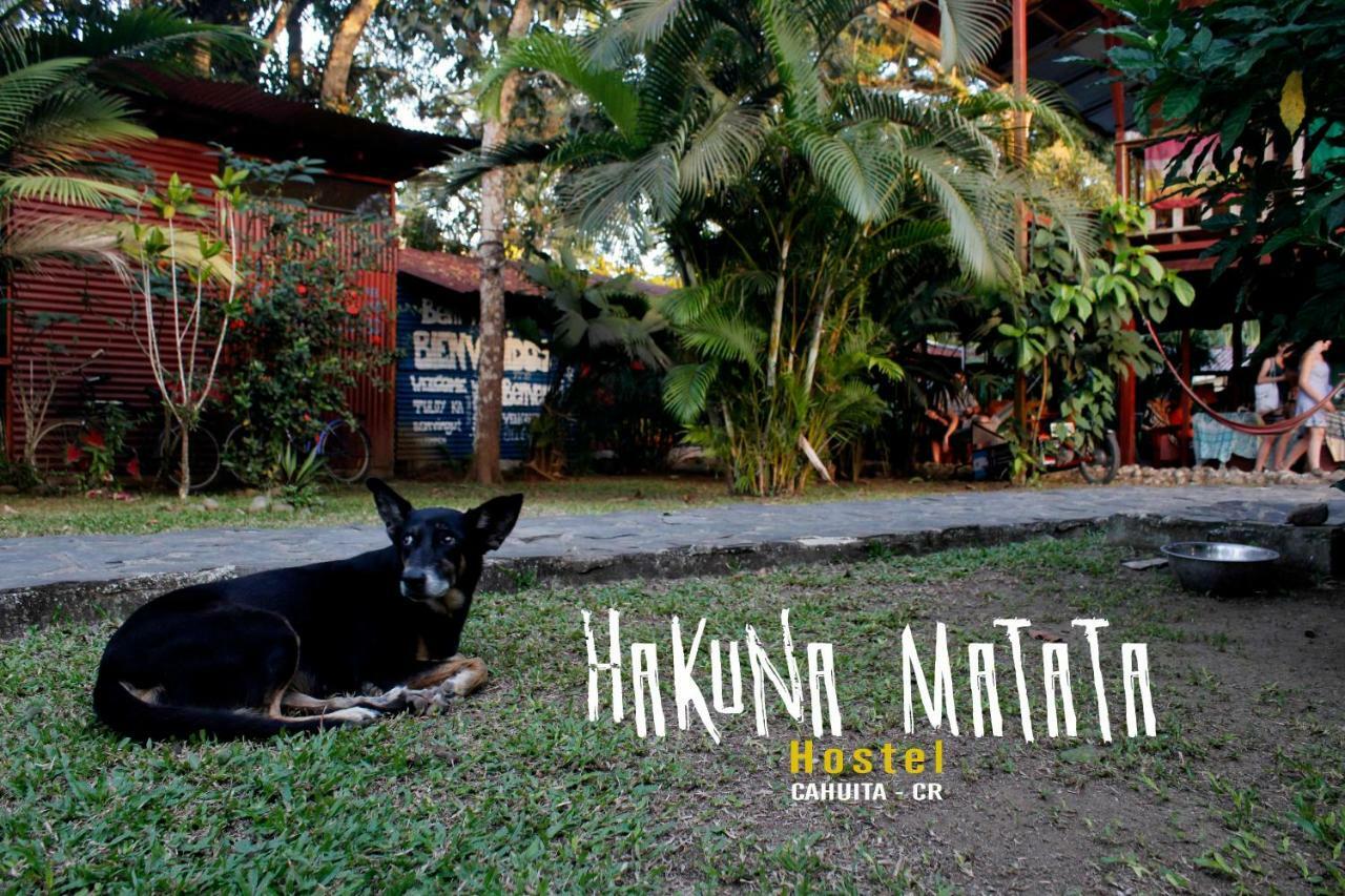 Hakuna Matata Hostel Cahuita Exterior photo